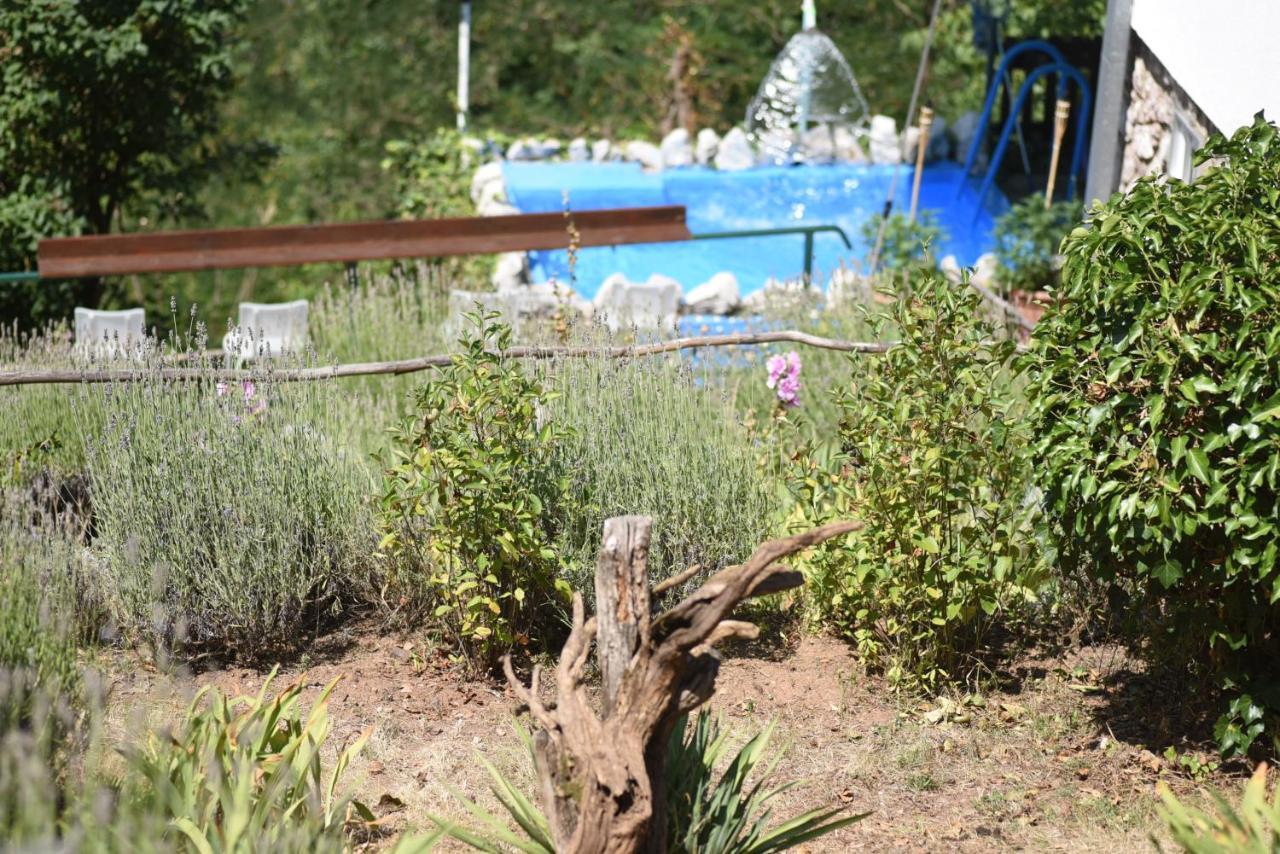 Vila Lena Meduvrsje Esterno foto