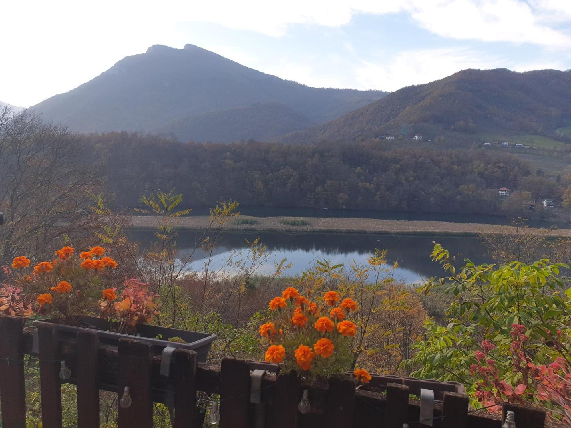 Vila Lena Meduvrsje Esterno foto